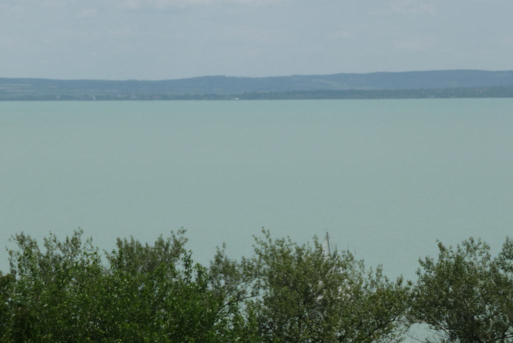 Panorama Vendeghaz Daire Balatonszepezd Oda fotoğraf
